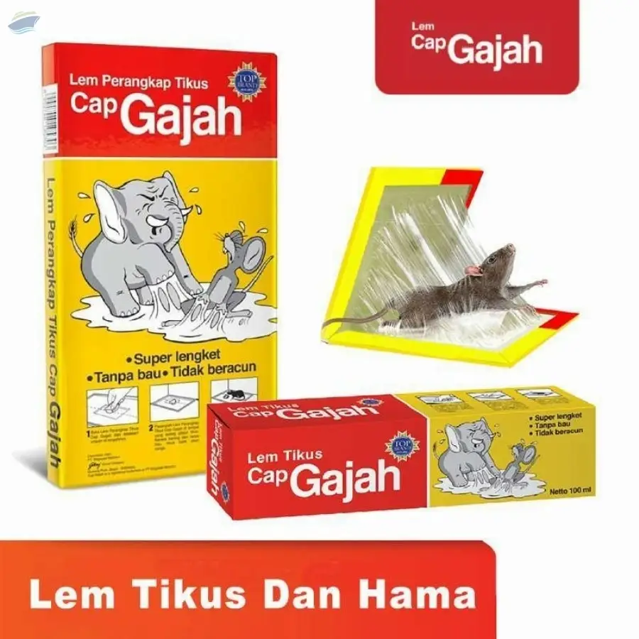 Mousetrap Glue Cap Gajah