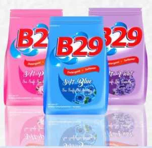 B-29 — product range